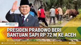 Download Lagu Jelang Ramadan, Presiden Prabowo Kucurkan Rp 72 M untuk Bantuan Sapi di Aceh MP3