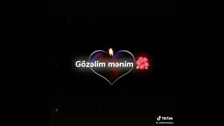 Heyatım Menim Hara Telrsirsen Whatsapp Durumu Kısa Vido .