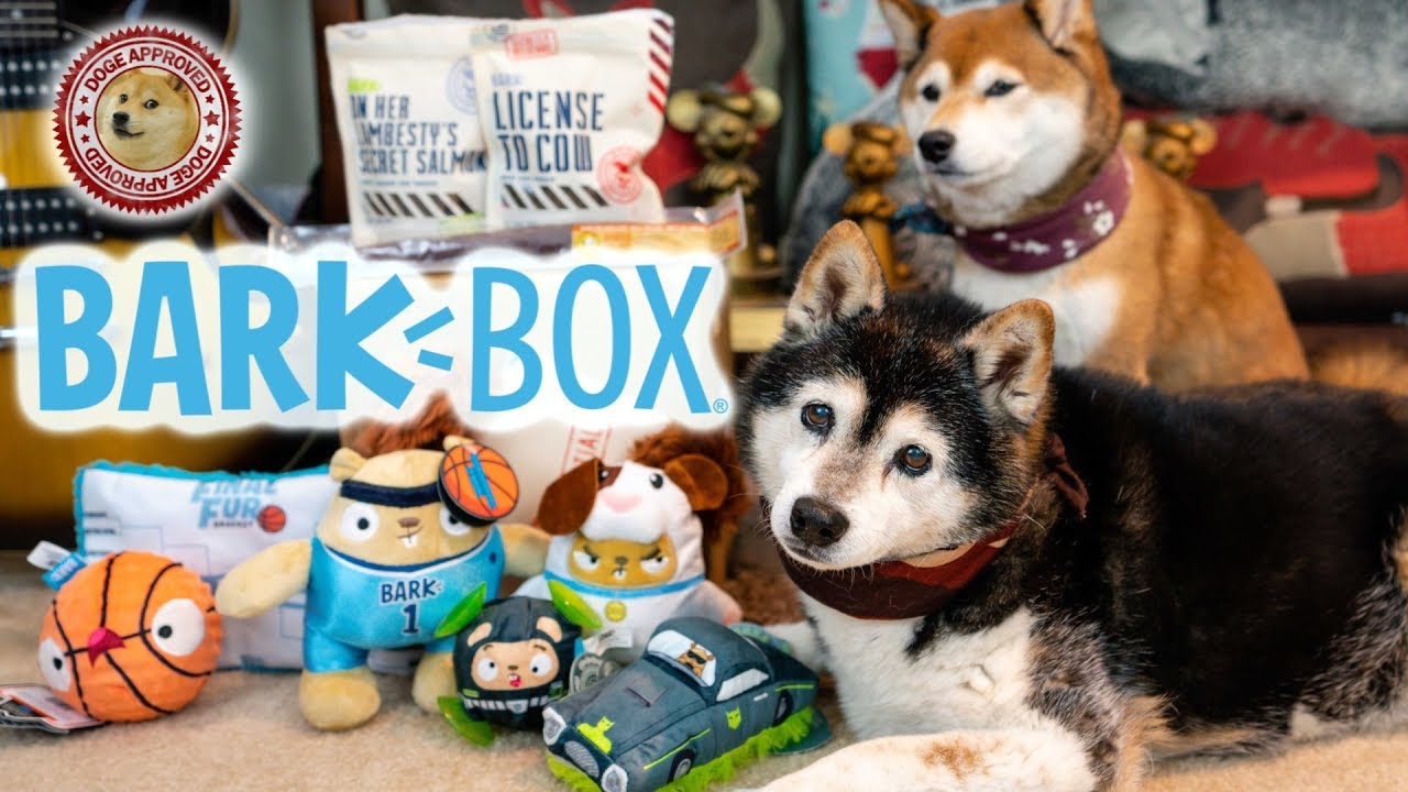 Unboxing the March 2019 BarkBox || The Shiblings