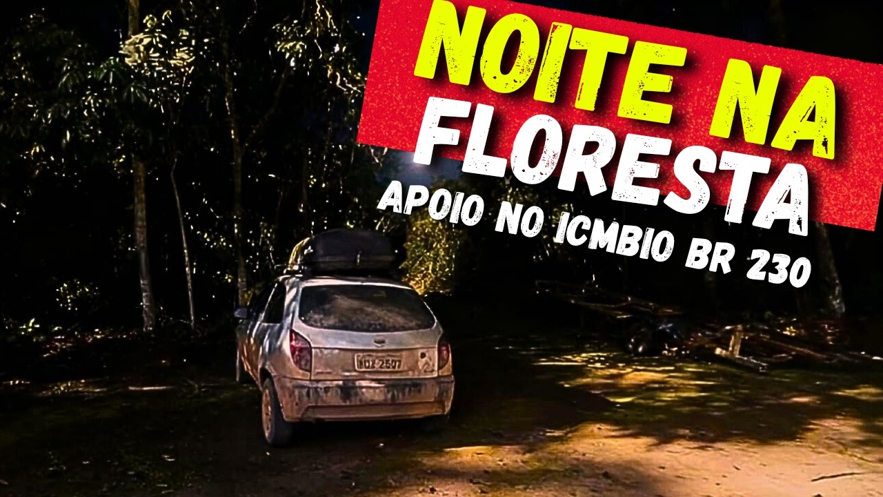 DORMIMOS NO coração da FLORESTA AMAZÔNICA na BR 230 Transamazônica. Ep.10
