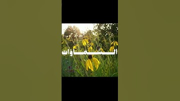 (فسبحان الله حين تمسون وحين تصبحون)#الشيخ_محمد_صديق_المنشاوي #سورة_الزمر #قران_كريم #راحة_نفسية