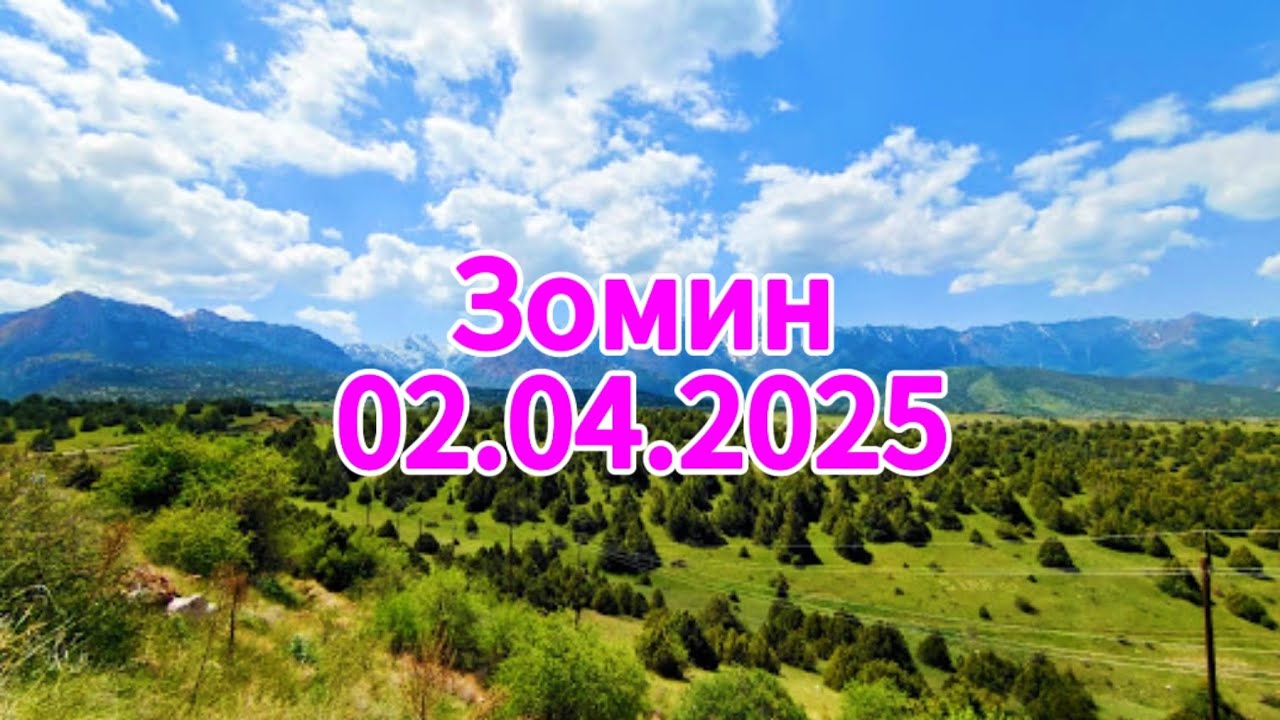 Зомин санатория 2025