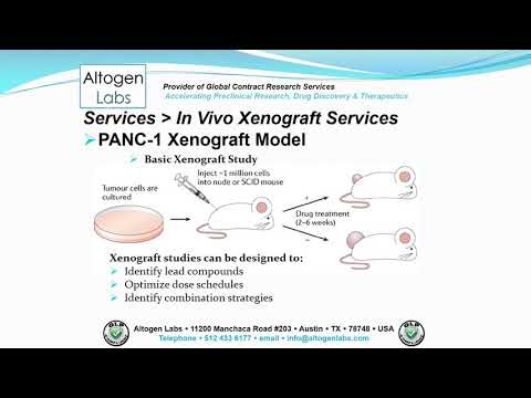Altogen Labs PANC-1 Xenograft Service Pancreatic Cancer