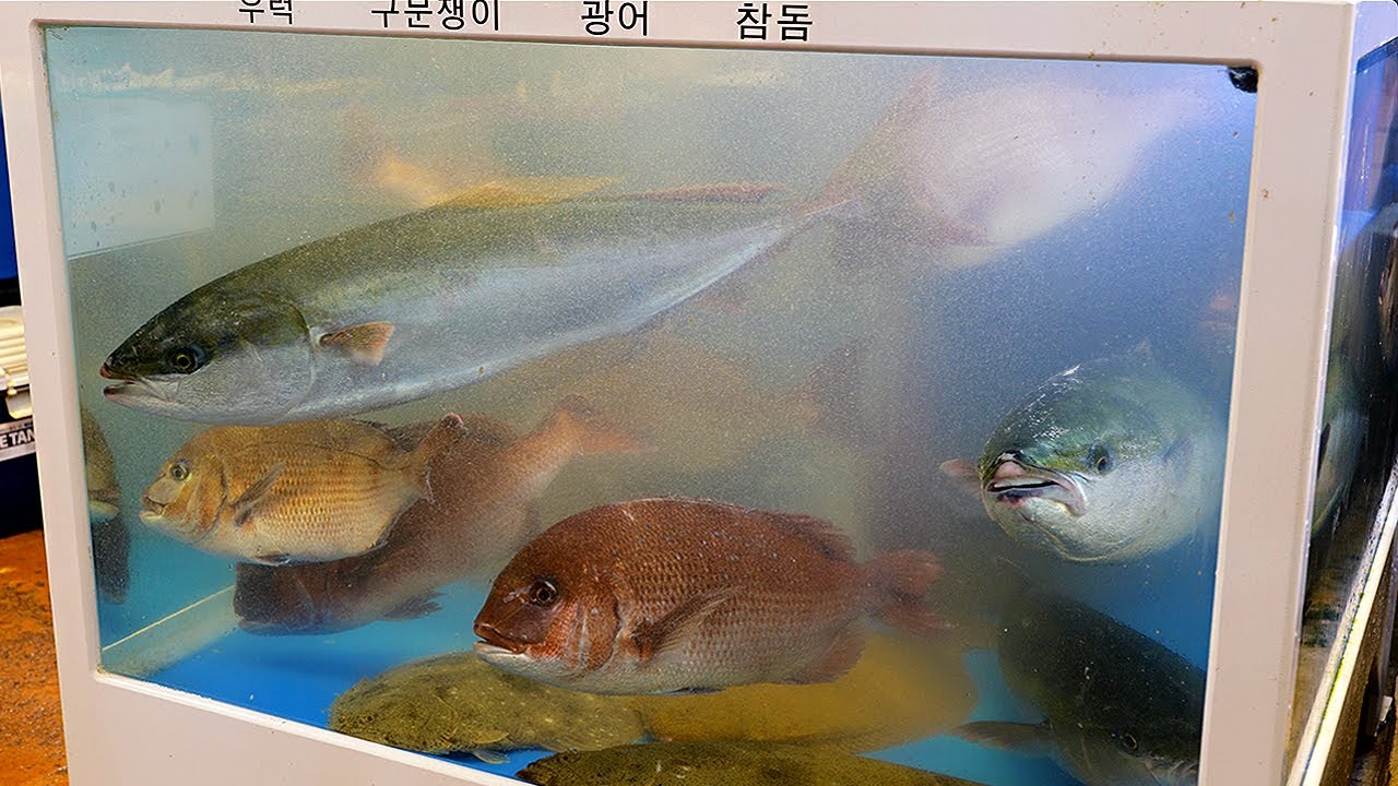 갈치를 회로 먹는다? 일명 풀치! 싱싱한 갈치회 썰기 달인! #shorts - Korean cutlassfish cutting skill master - street food