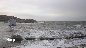 Spitfire Audio LABS 10 instrument demo