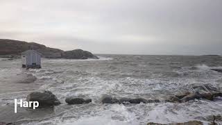 Spitfire Audio LABS 10 instrument demo