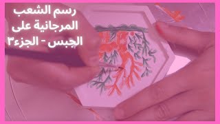 رسم الشعب المرجانية على الجبس   الجزء ٣