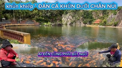 Khủng khiếp "đàn cá khủng duới chân núi ai đến củng phải bất ngờ