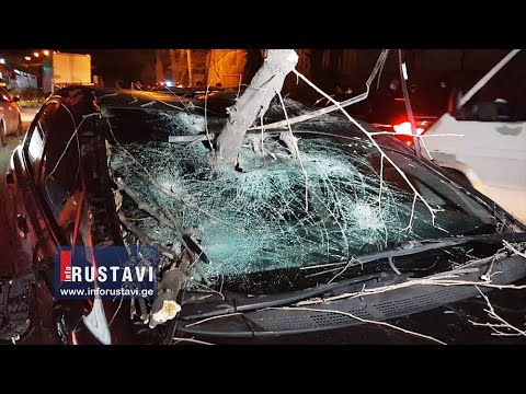 რუსთავი   თბილისის მაგისტრალზე ავტომობილებს ხე დაეცა