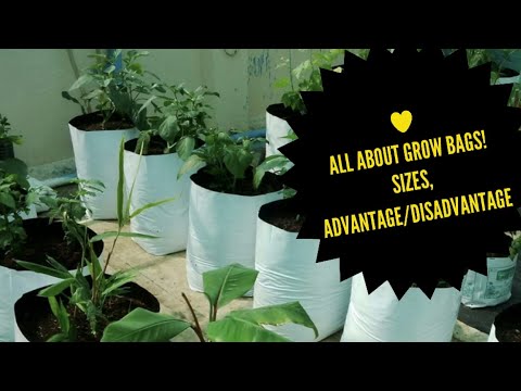 All about grow bags! Size, advantage and disadvantages!