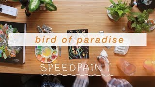 Bird of Paradise | gouache speedpaint