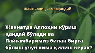 Жаннатда Аллоҳни кўриш қандай бўлади ва Пайғамбаримиз билан бирга бўлиш учун нима қилиш керак?