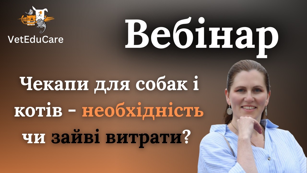 Профілактичний ЧЕКАП собак і котів. Які аналізи потрібні6? Як часто перевіряти здоров’я? VetEduCare