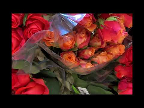 Video: Bouquet Of Different Colors