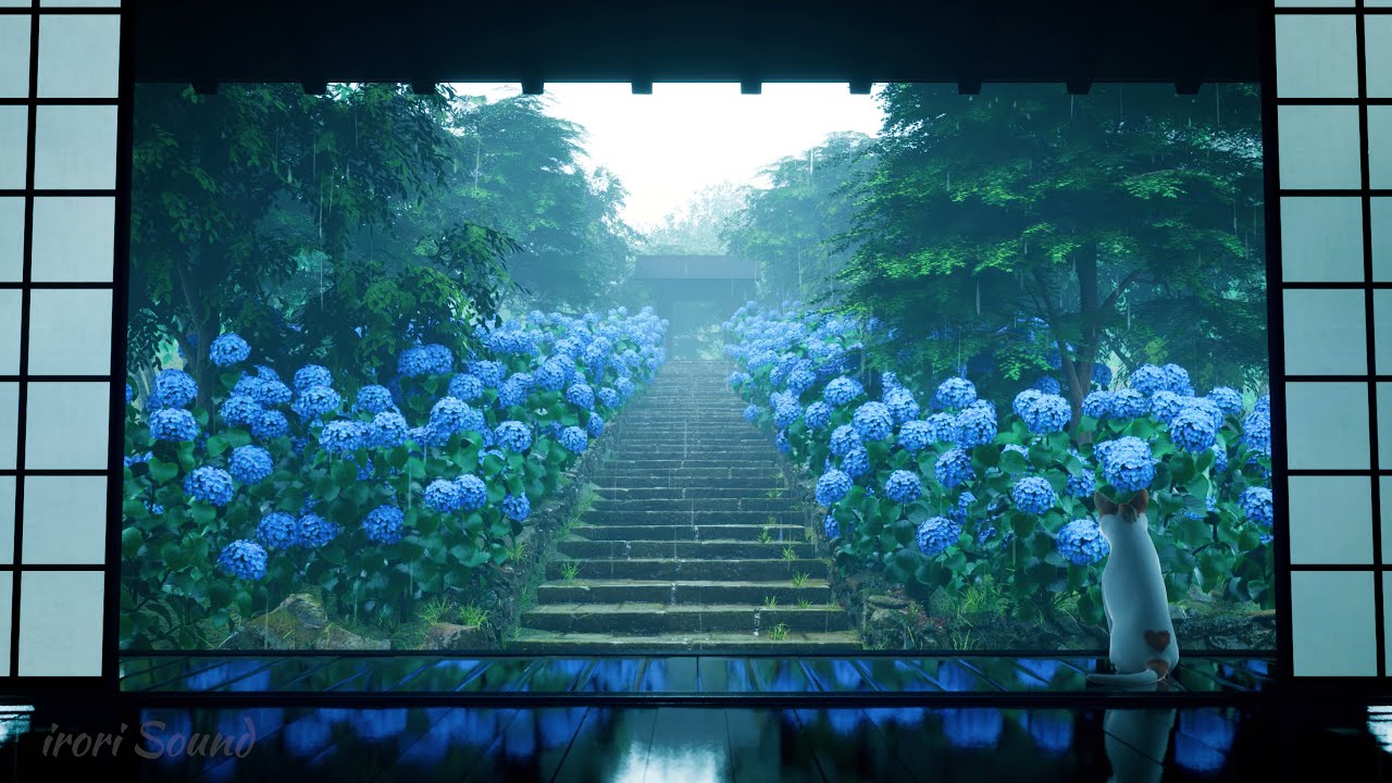 A rainy day / Hydrangea garden - Relaxing ambience for Work & Study  / Japan