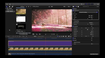 Infrared Lut Tutorial For Pro Filmmakers , FCPX & @AdobeCreativeCloud @Photoshop