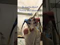 Kindness is great!! MLP #mlp #furry #therian #edit #edit #fizzarolli #dog #mask #fictionkin