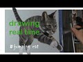 How to draw a 3D cat | Real Time Draw #WithMe