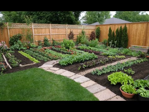 Transform Your Backyard: Easy Steps to Start a Vegetable Garden