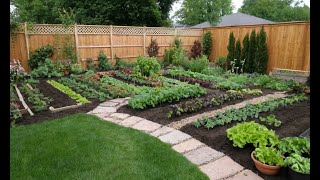 Transform Your Backyard: Easy Steps to Start a Vegetable Garden