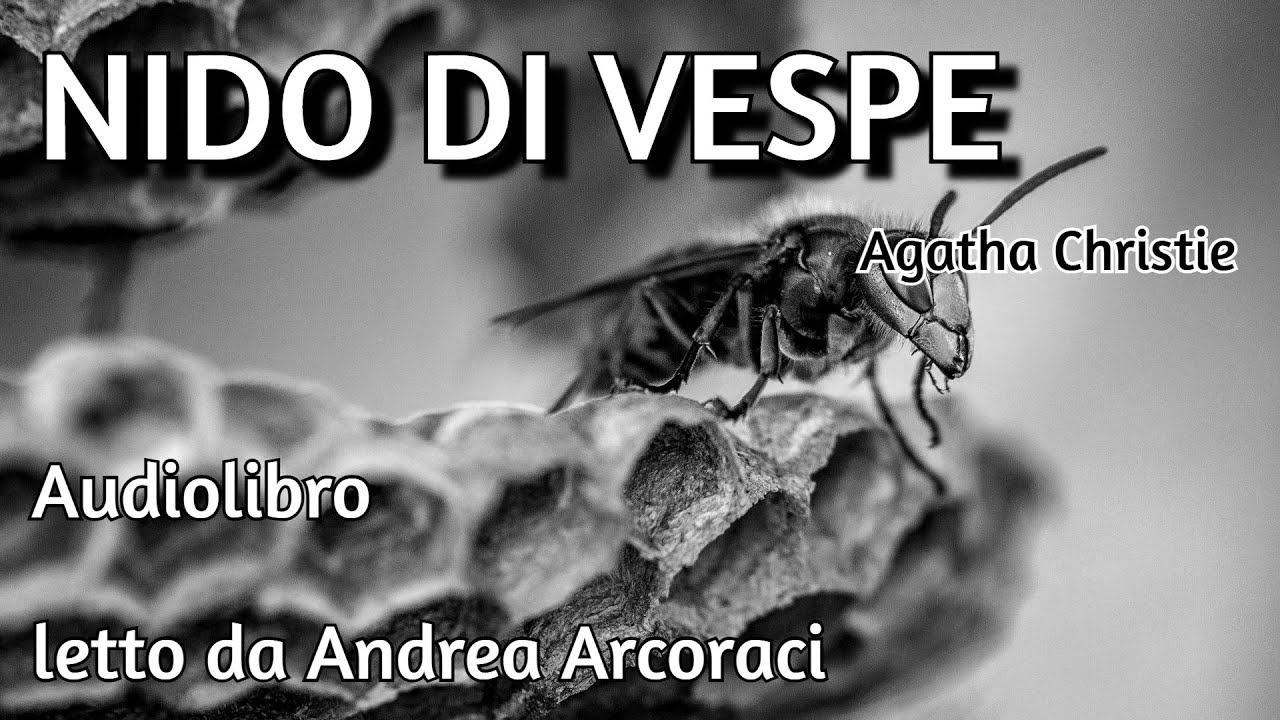Riassunto Nido Di Vespe Di Agatha Christie