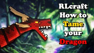 RLcraft how to TAME your dragon (Quick and easy) screenshot 4