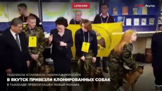 В Якутск их Кореи привезли клонированных собак В Якутск их Кореи привезли клонированных собак