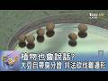 植物也會說話? 大豆自帶身分證 非法砍伐難遁形｜FOCUS午間新聞 20260522 @TVBSNEWS01
