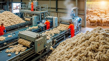 Inside Massive Factories Turning Tons Of Sheep Wool Into Clothes!