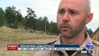 Officials say Colorado boy attacked by mountain lion 'doing well in light of the circumstances'