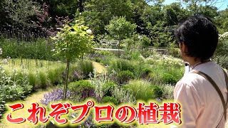 【浜名湖ガーデンパーク】プロが作る庭に圧巻【カーメン君】【園芸】【ガーデニング】