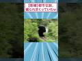 【悲報】有名な都市伝説、ほぼ盛られていたww #都市伝説 #すごい #面白集 #2ch #スレ民 #ゆっくり解説 #2ch面白いスレ
