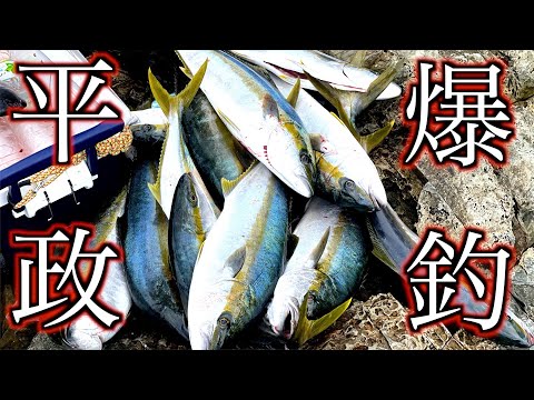 磯から空前絶後のヒラマサ大爆釣!!釣れすぎてクーラーに入らない・・・。