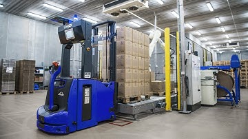 Global AGV | Danpo - Scandi Standard