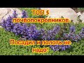 ТОП 5 великолепных почвопокровников Посадил и полоть не надо