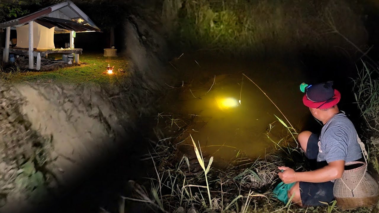 เหลือเชื่อนอนนาปักเบ็ดค้างคืนหน้าแล้งจะหมานขนาดนี้เจอแต่ละตัวเบ็ดเกือบเอาไม่อยูู่