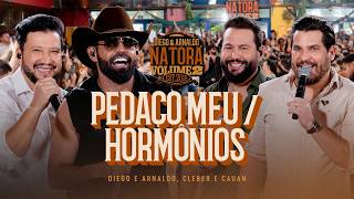 Diego e Arnaldo part. Cleber e Cauan - Pedaço Meu / Hormônios (NATORA)