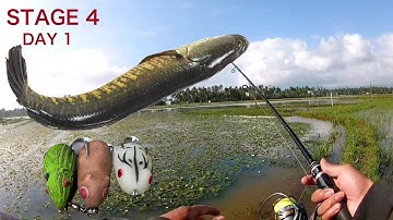Câu lure cá lóc bằng nhái hơi sóc chuột mồi giả, cá táp liên tục, snakehead fishing lures