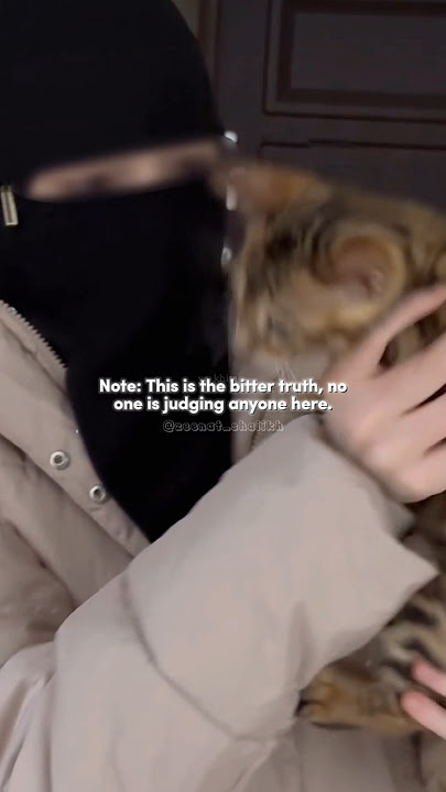 Download lagu This is the bitter truth 🫠 || Mountain of friendship Nasheed