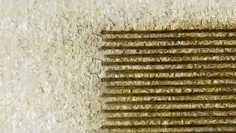 Completed Scanning Offset Adjustment Value Test