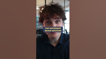 🎶 Gamma Waves: Your Brain’s Symphony Conductor 🎶