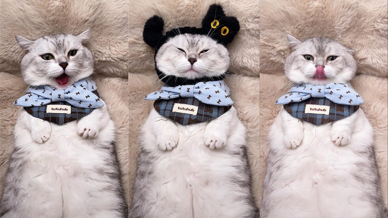 【ASMR】JITUI BOSS SPA | Chewing sound + rubbing eyes + roller massage