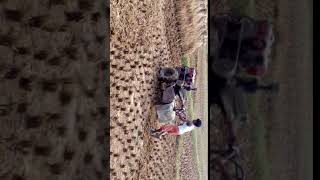 Vid 20171114 114640