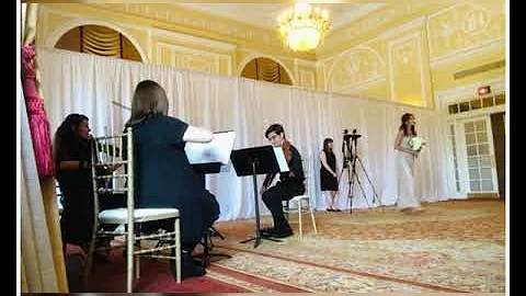 String Quartet Canon in D by Pachelbel, Megan Sull...