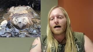 Archaeology 101: Zooarchaeology 1