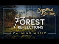 Forest Reflections - Sleep Music, Study Music - A Stress-Relieving Soundtrack with Gorgeous Footage