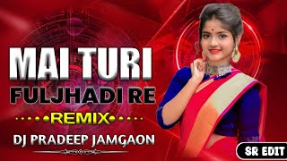 Main Turi Fuljhdi Re ( Cg Rmx ) || Dj Pradeep Jamgaon || Seema Kaushik