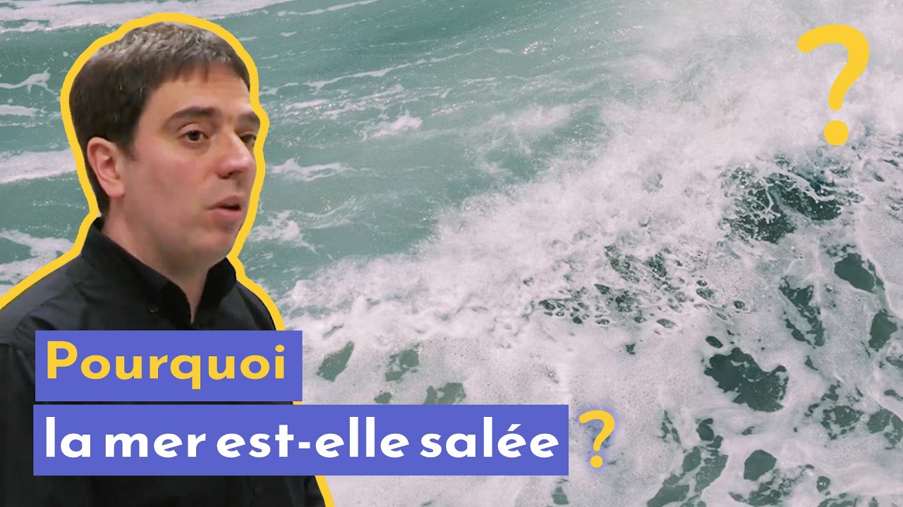 Pourquoi l'eau de la mer est-elle salée ? | Court documentaire de ...