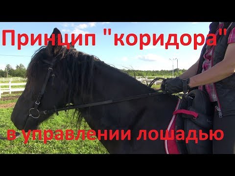 Как повернуть лошадь? "Принцип коридора".