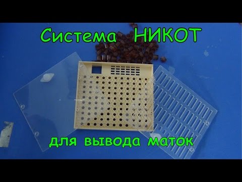 Система для вывода